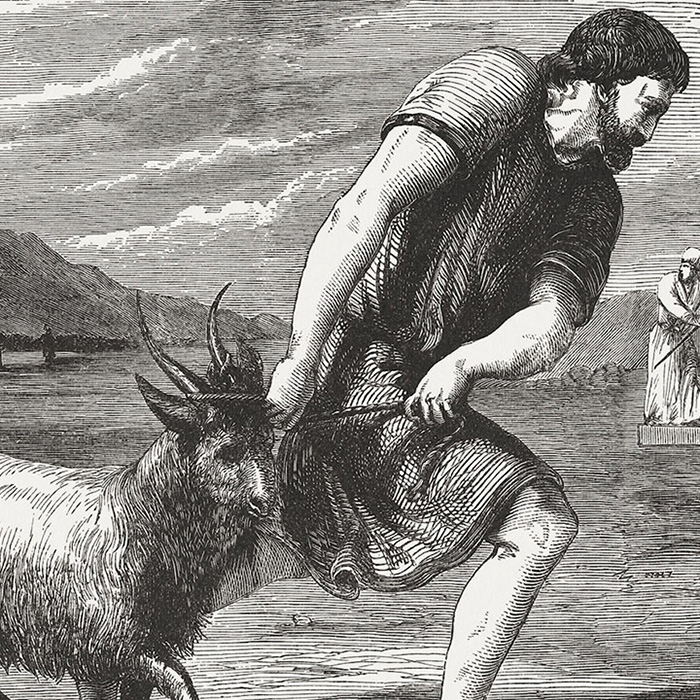PDF Image